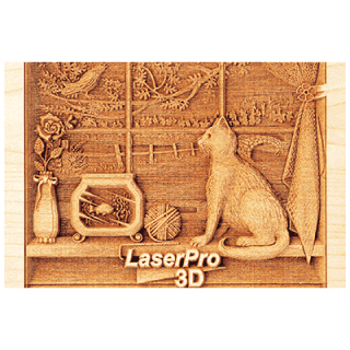 Astonish 3D Engraving